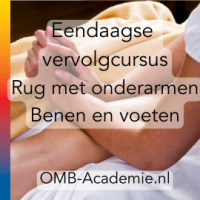 Eendaagse vervolgcursus Massage