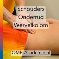 Eendaagse vervolgcursus Schoudermassage Onderrug en wervelkolom